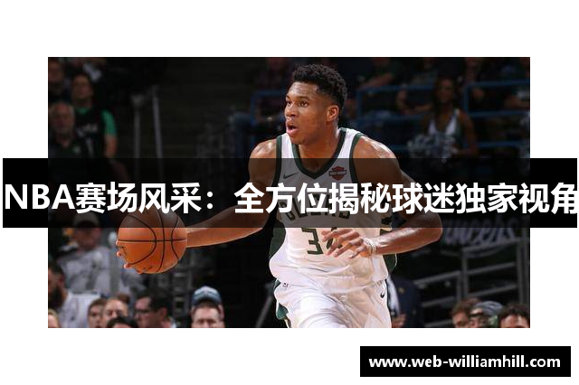 NBA赛场风采：全方位揭秘球迷独家视角