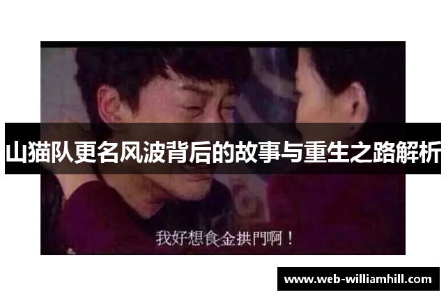 山猫队更名风波背后的故事与重生之路解析