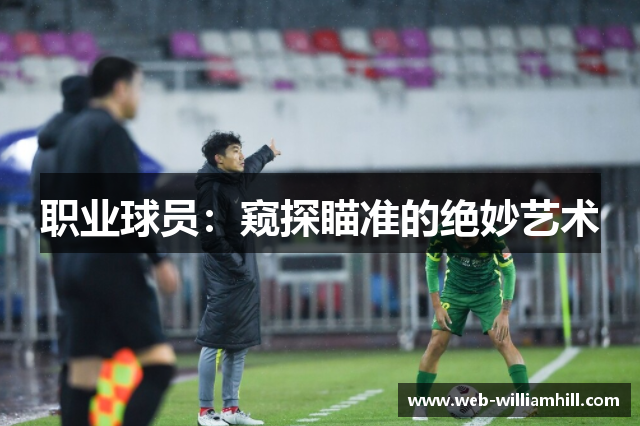 职业球员：窥探瞄准的绝妙艺术