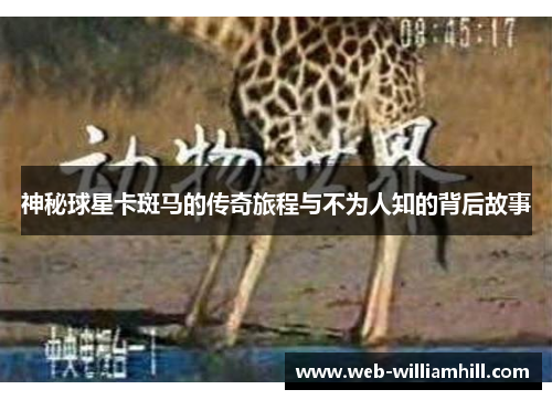 神秘球星卡斑马的传奇旅程与不为人知的背后故事